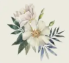 White Floral